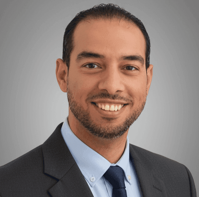 المهندس أحمد أبو هرجة